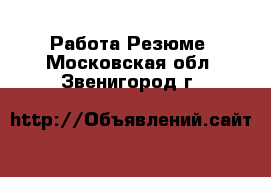 Работа Резюме. Московская обл.,Звенигород г.